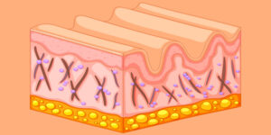Ilustração das camadas da pele