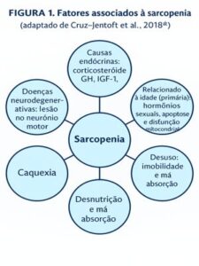 O que pode levar uma pessoa a ter sarcopenia